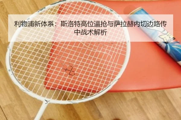 li-wu-pu-xin-ti-xi-si-luo-te-gao-wei-bi-qiang-yu-sa-la-he-nei-qie-bian-lu-chuan-zhong-zhan-shu-jie-xi-2-202.jpg