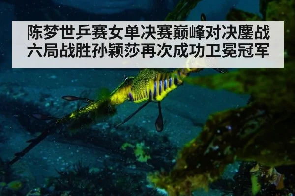 陈梦世乒赛女单决赛巅峰对决鏖战六局战胜孙颖莎再次成功卫冕冠军